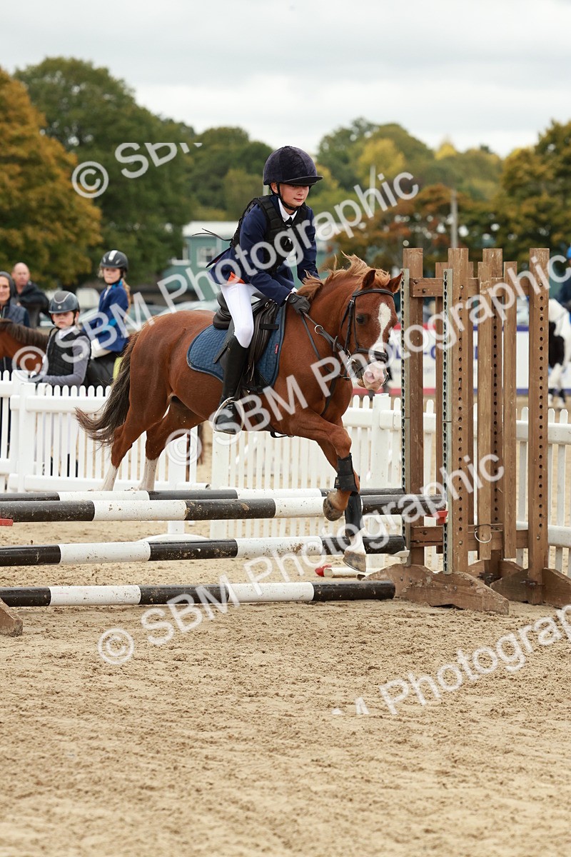 SBM_67186 - J13 - Junior Pony 60cm Championship