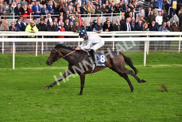 yr07102022r4-35 - Race 4 3.50pm William Hill Best Odds Guaranteed Stakes