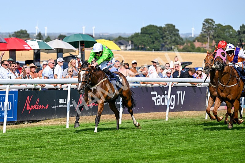 130826-Race 4-Shazani-9084 - Race 4 15.45pm Connexin Super Fast Sprint Handicap