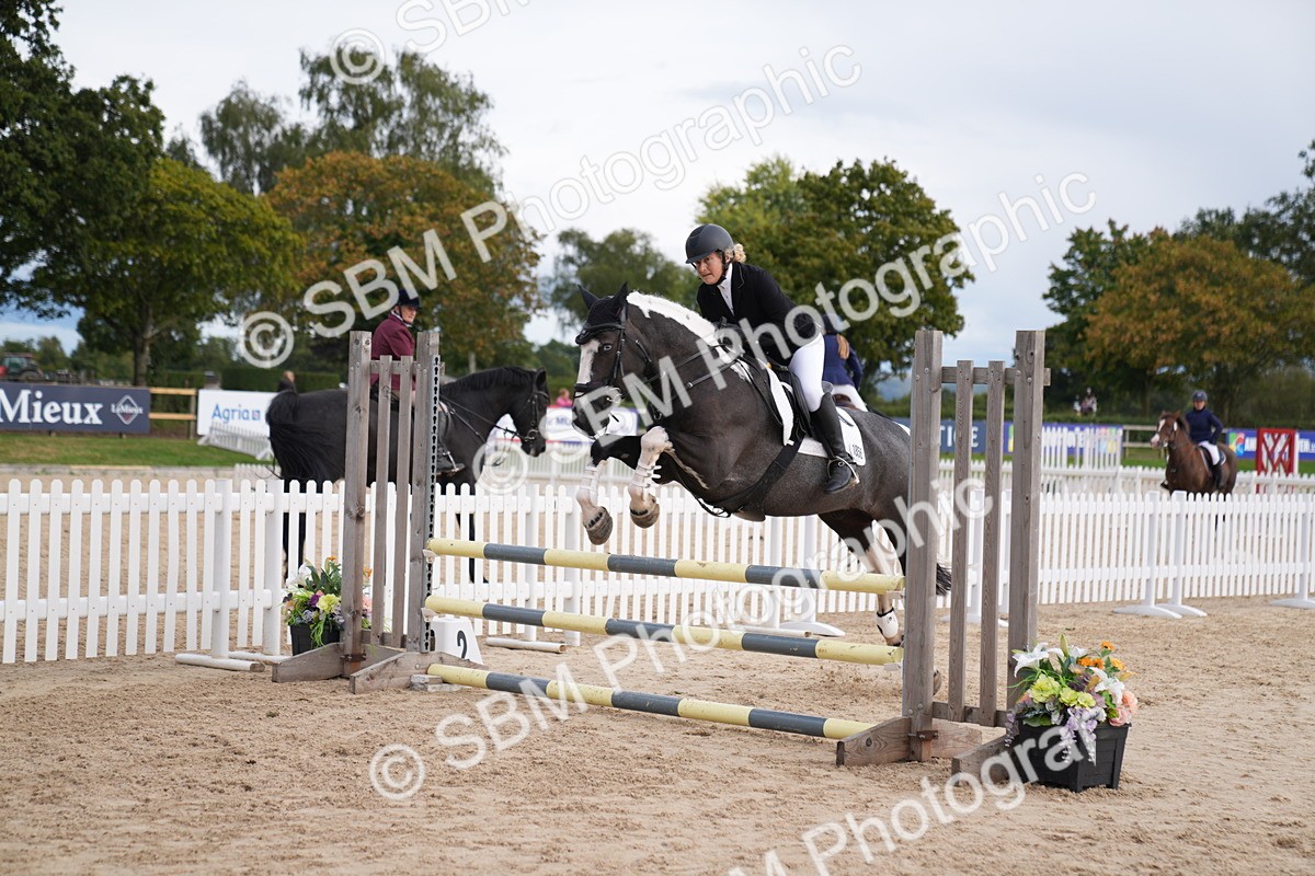 SBM_10318 - J37 Veteran 75cm Championship