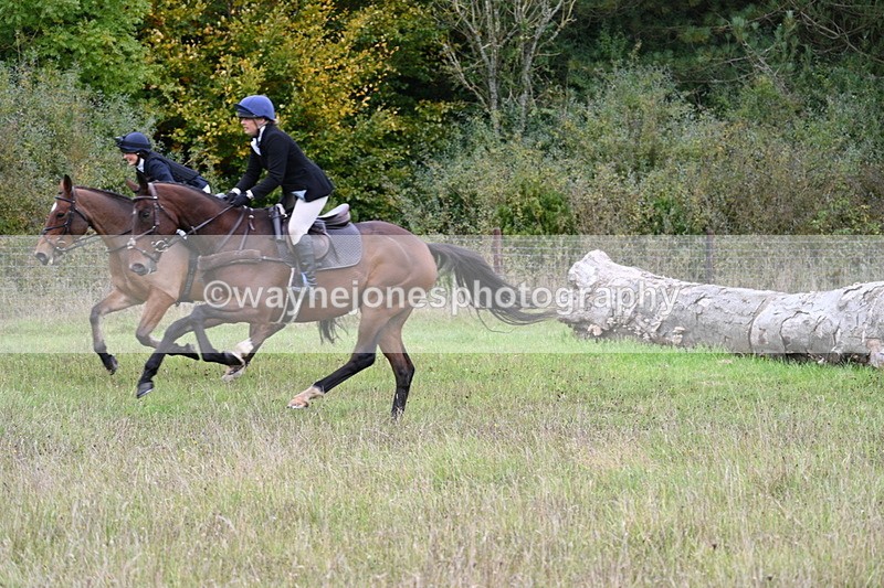 WJ7_3651 - Camera 1 Line 1