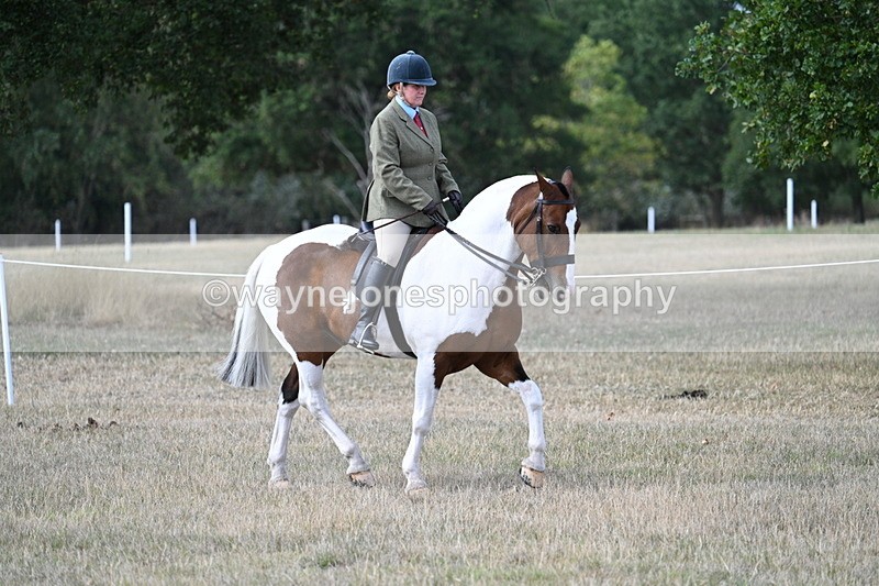 WJ7_6752 - Class 14 Ridden Coloured