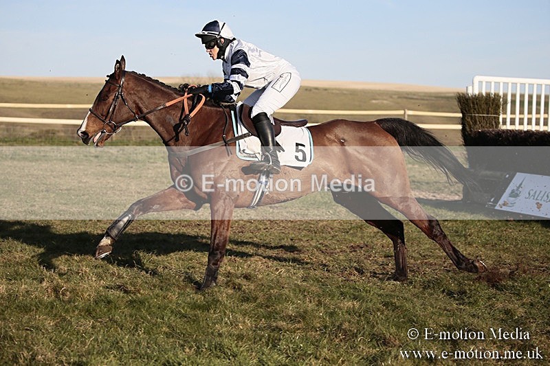 PtP 240218 691 - Vine & Craven Hunt Point-to-Point Barbury racecourse 24/02/18