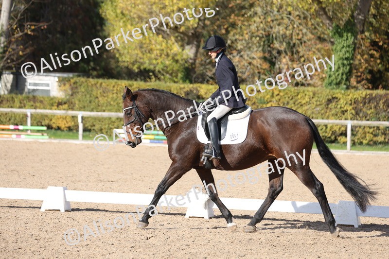 20251101-0619 - Class 5 - Novice 3