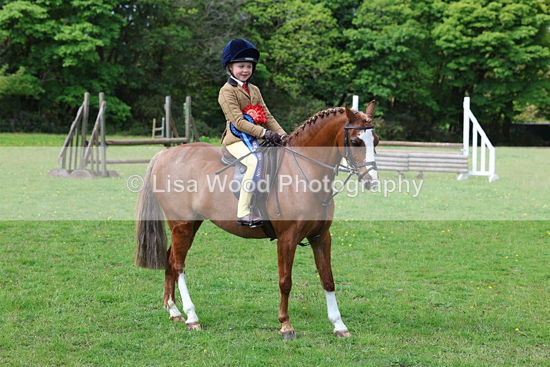 3E7A2768 - Working Hunter Championship