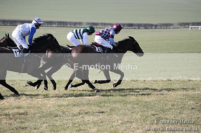 PtP 240218 31 - Vine & Craven Hunt Point-to-Point Barbury racecourse 24/02/18