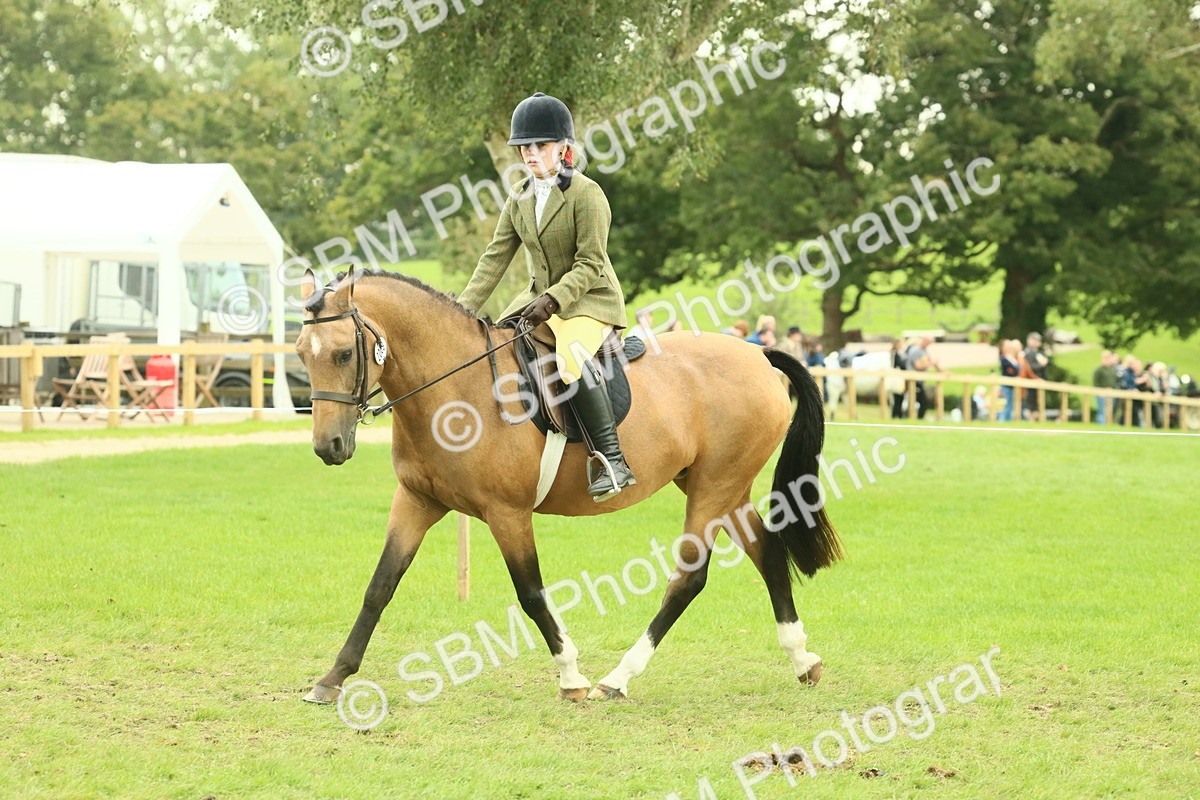 SBM_73958 - S 61 - Show Pony & Show Hunter Pony Ridden