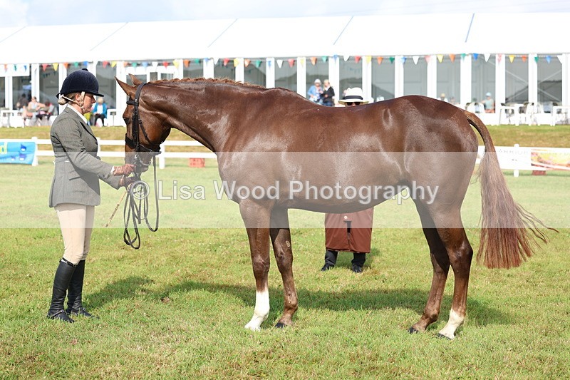 3E7A9026 - Class 3: Rising Star S/L Hunter