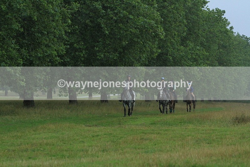 IMF_2825 - Time at Castle Jump 12:29 to 14:06