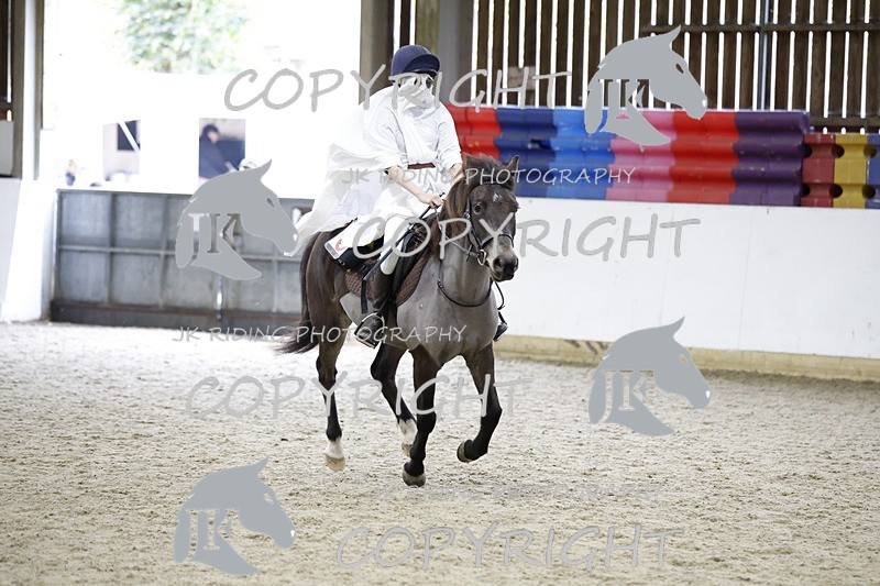 _T0A1998 - Class 4 50cm