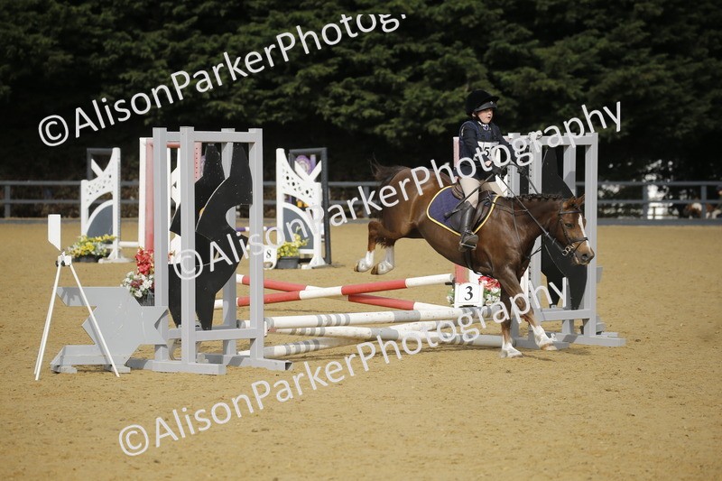 20250622-1434 - 40cm