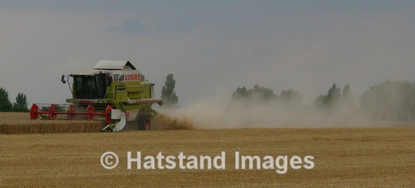 Harvest time - nature