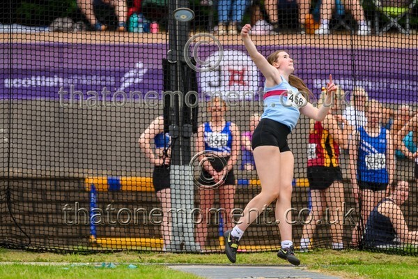 Sen25SUN-927642 - Field Female Set Two