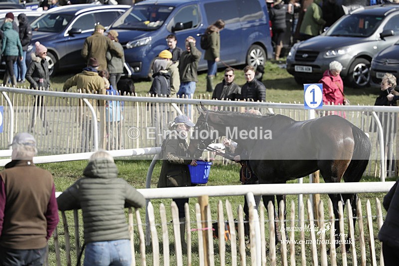 PtP 100423 924 - Old Berkshire Point-to-Point Lockinge 10/04/23