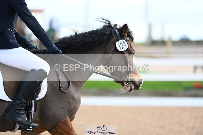 240323A-094239-01264 - DR Intro B