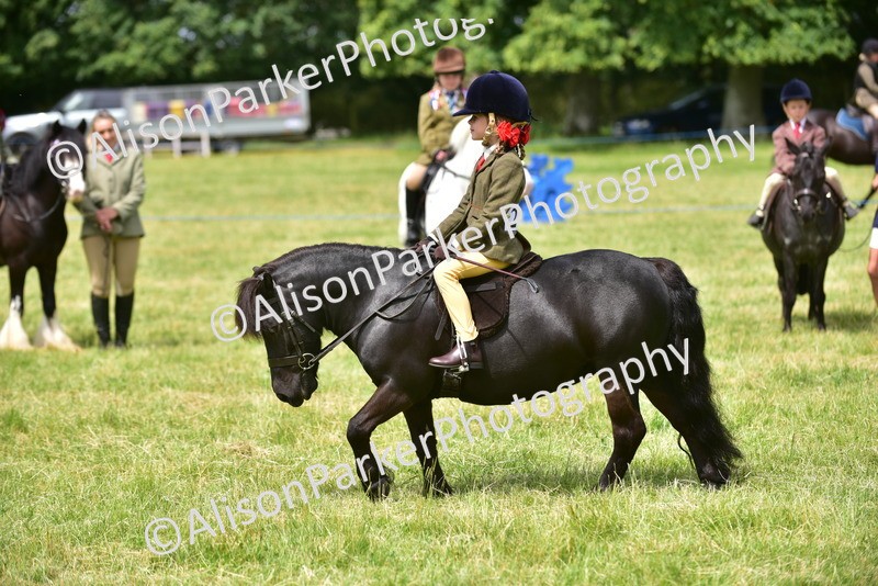 20260614-3645 - Class 15 - Prettiest Mare