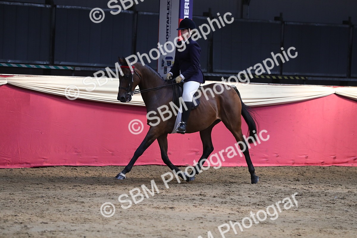 SBM_08361 - Class 11R Regional Ridden Veteran