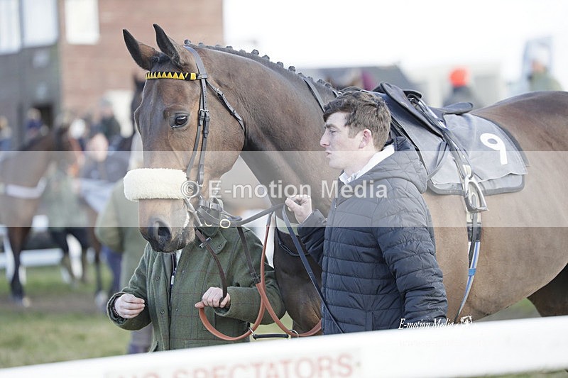 PtP 260223 1000 - South & West Wilts Point-to-Point Larkhill 26/02/23