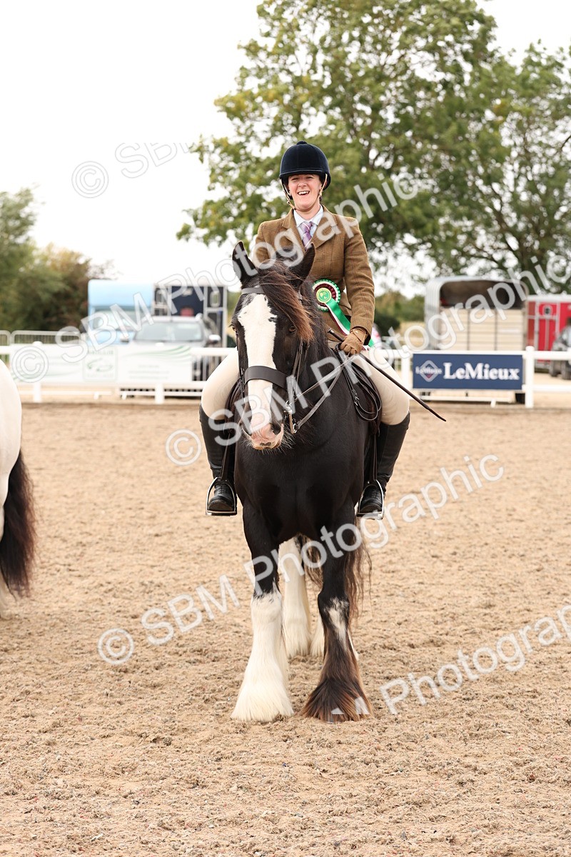 SBM_19738 - Class 216 - Ridden Traditional - Native Cob