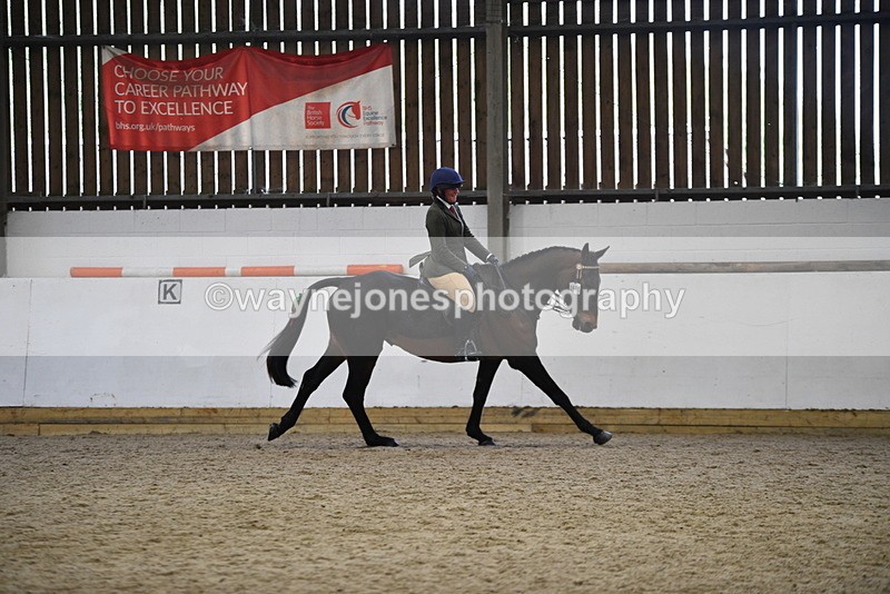 WJ5_8025 - Class 13 Ridden Part Breed