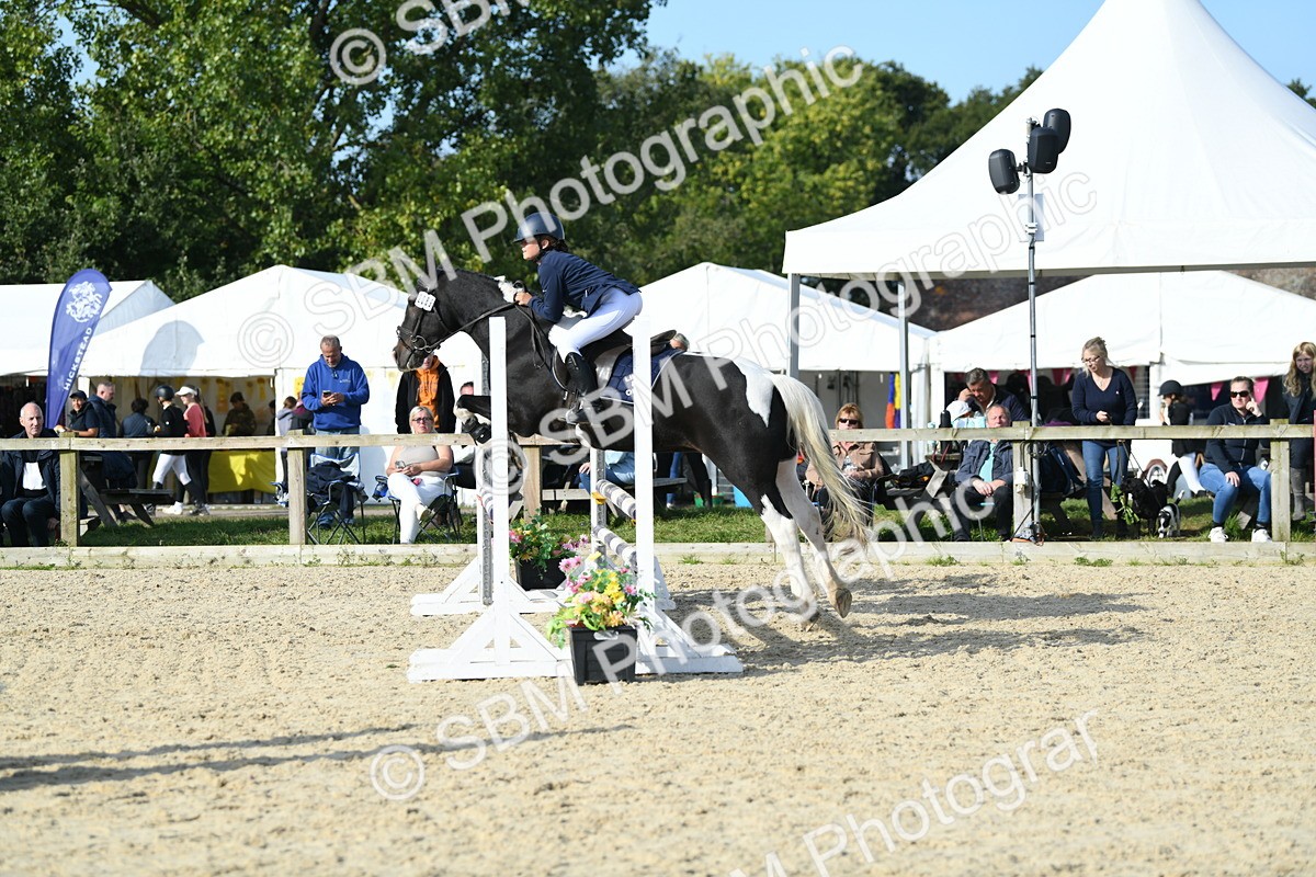 SBM_60622 - j25 - Junior Horse 80cm Championship