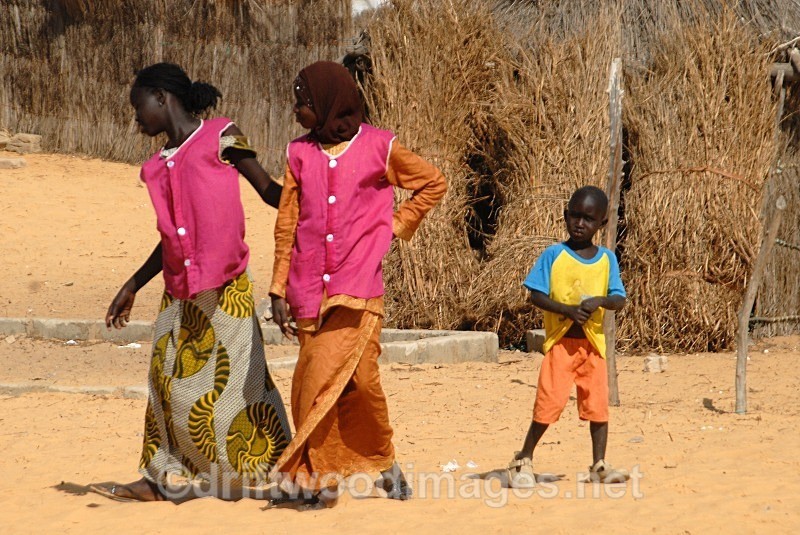 Senegal Fulani Village Fulani girls in pink 2 - Senegal Fulani Village