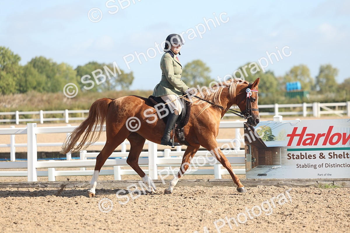 SBM_22279 - Class 803 - Ridden Combination 65+