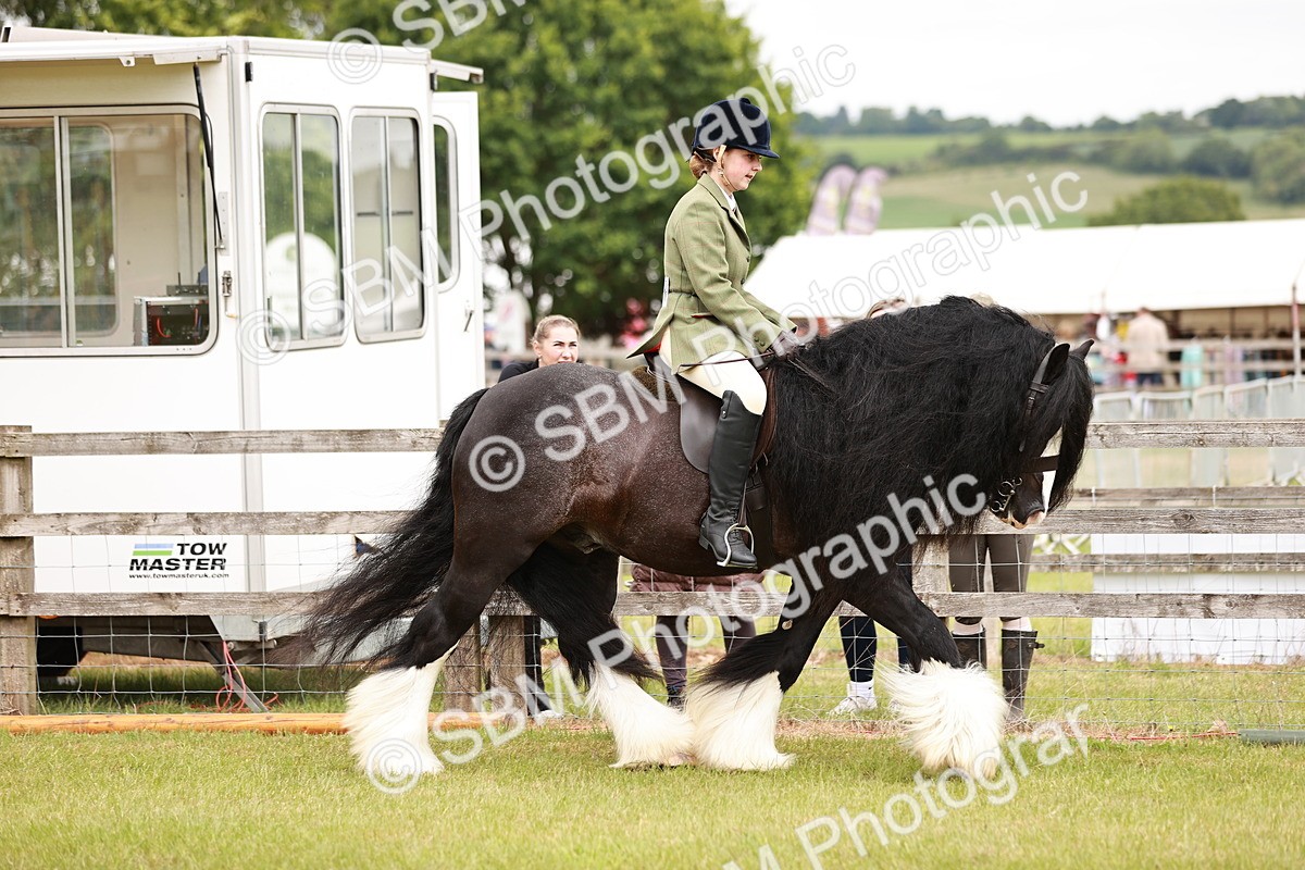 SBM_06110 - Class 39-41 TGCA In Hand and Ridden