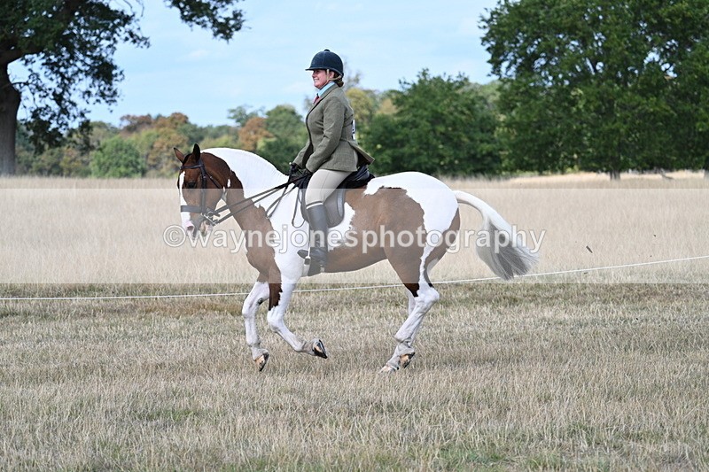 WJ7_6970 - Class 14 Ridden Coloured