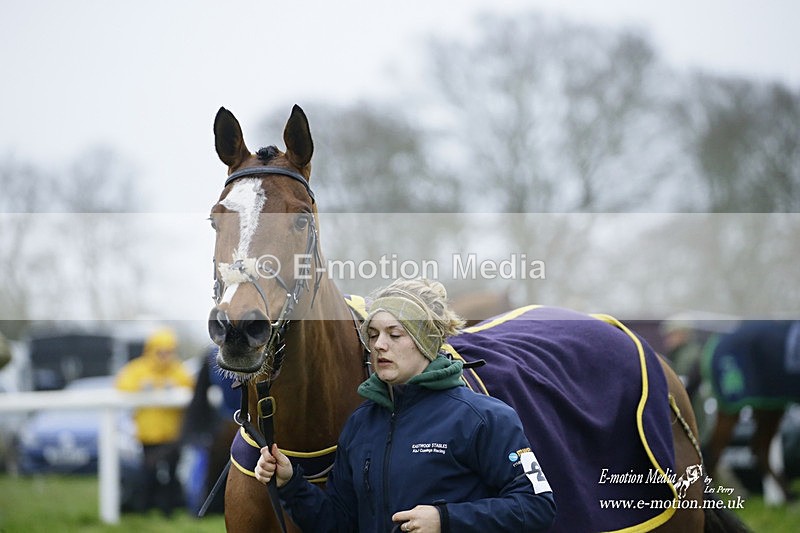 PtP 200222 655 - Countryside Alliance PtP Badbury Rings 20/02/22