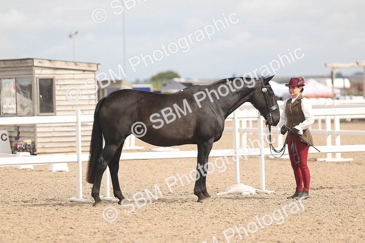 SBM_04910 - Class 20 - IH Veteran