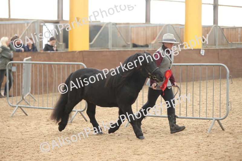 20251109-0123 - Championship