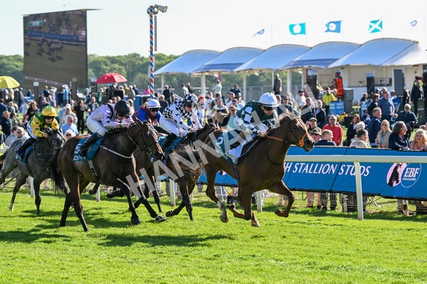140525-Race 6-Ballistic Missile-2864 - Race 6 4.55pm British Stallion Studs EBF Novice Stakes