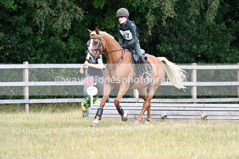 WJ7_1696 - 60cm Time 13:20 to 14:27