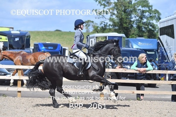 BPP_2061 - DERBY CLASS 6 - 70CM