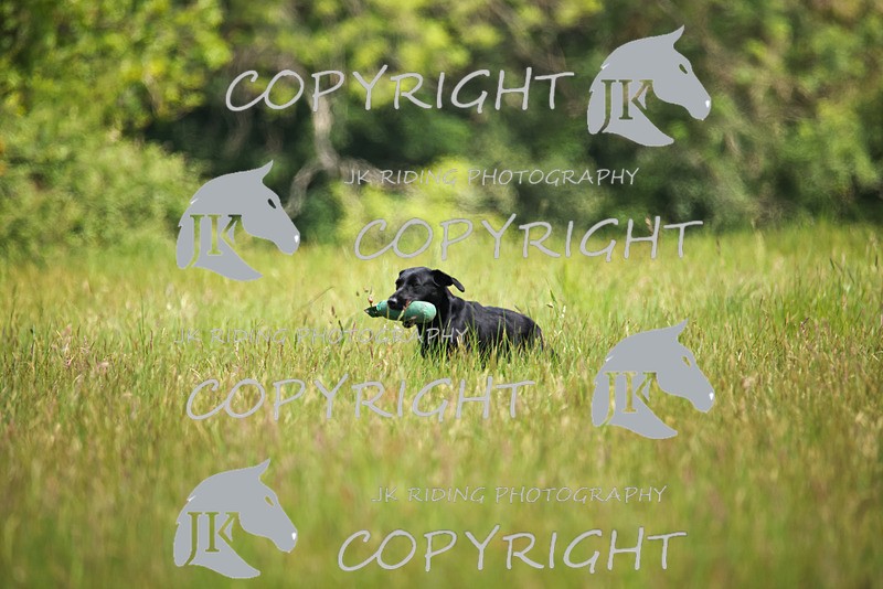 2R6A8617 - 36 Harriet