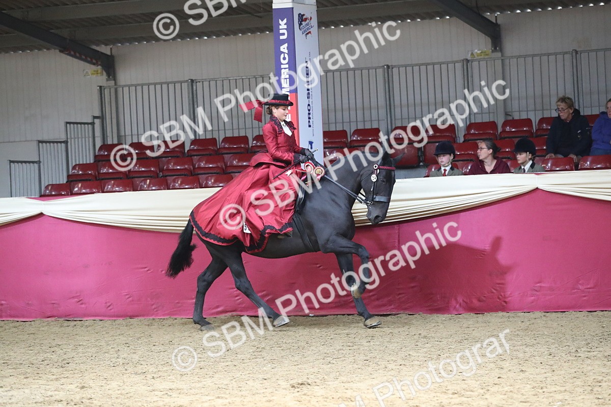 SBM_12203 - Class 107 Ridden Costume- Astride Adult (20+)