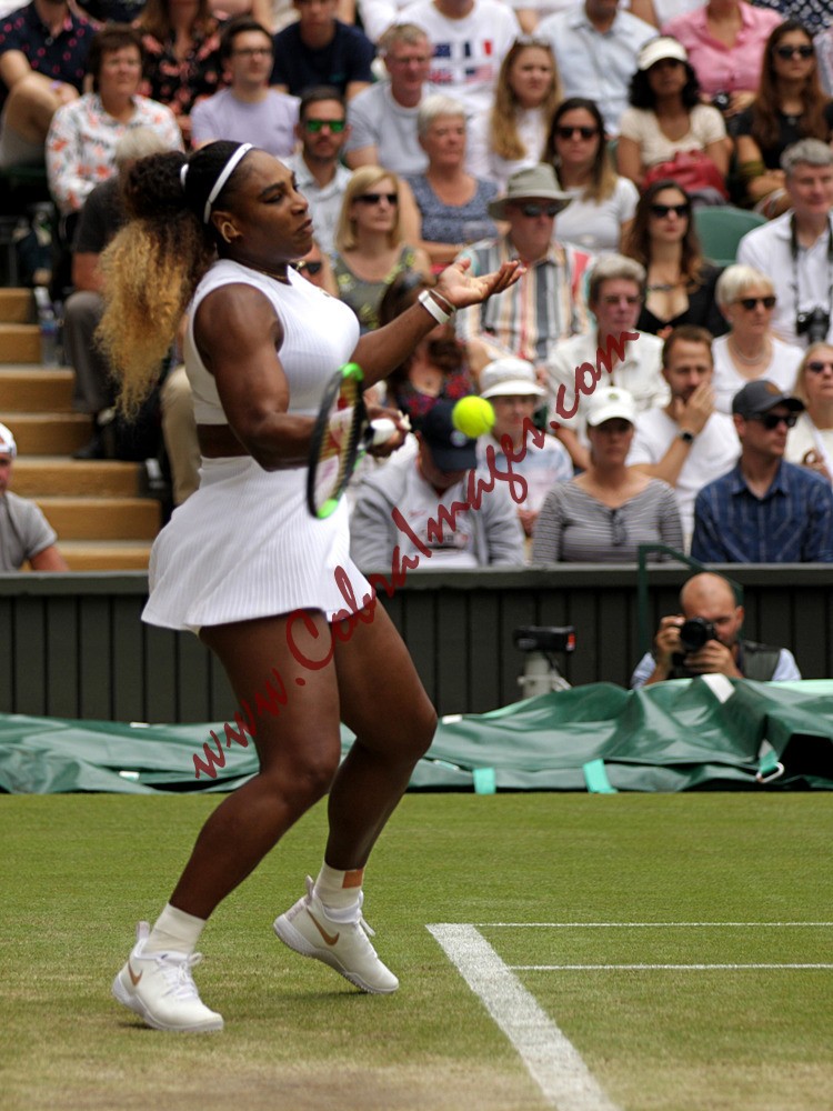 AF0I0012P - Wimbledon