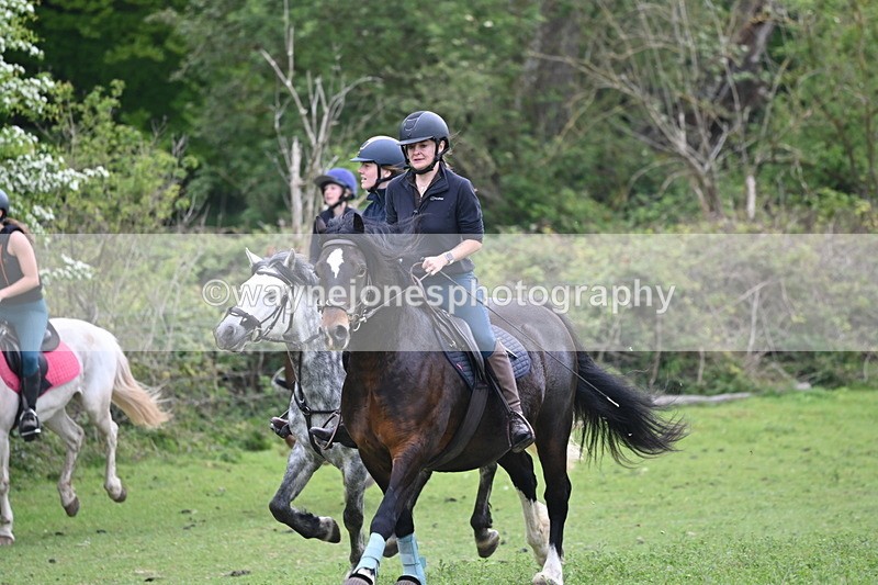 WJ6_3312 - A camera