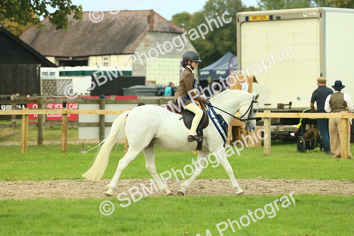 SBM_75239 - Super Supreme Championship