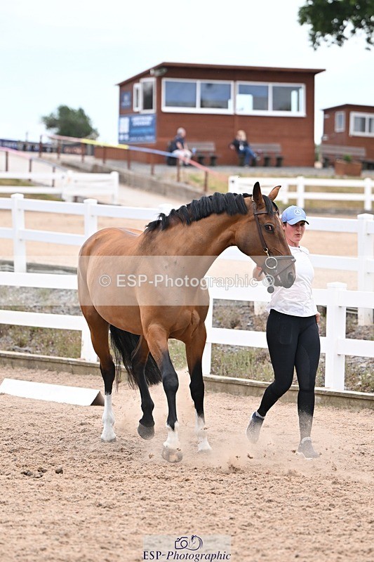 250716-140538-00907 - Trot Up 1.30 to 2.30