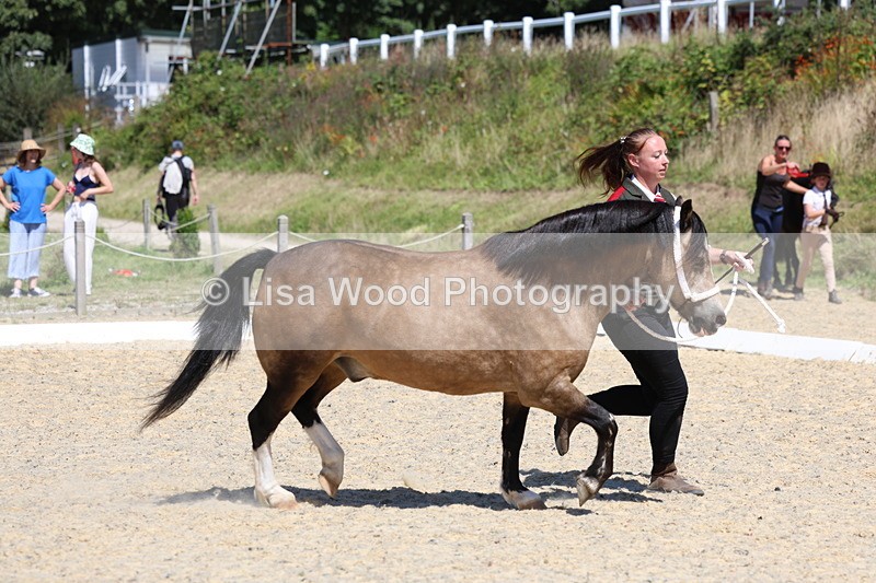 3E7A9568 - Class 32: Best Grass Kept