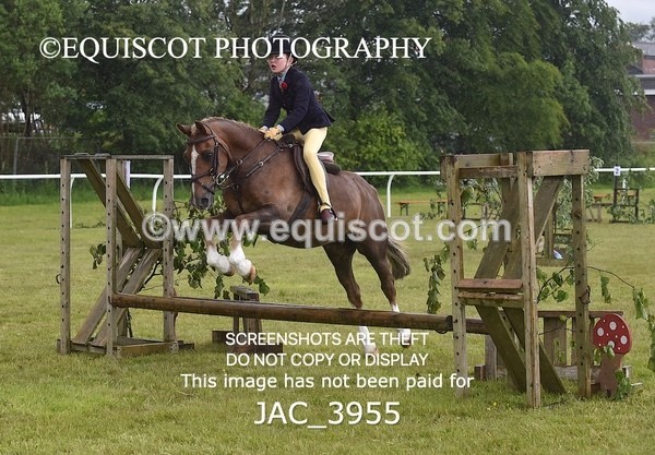 JAC_3955 - 55cm WORKING HUNTER