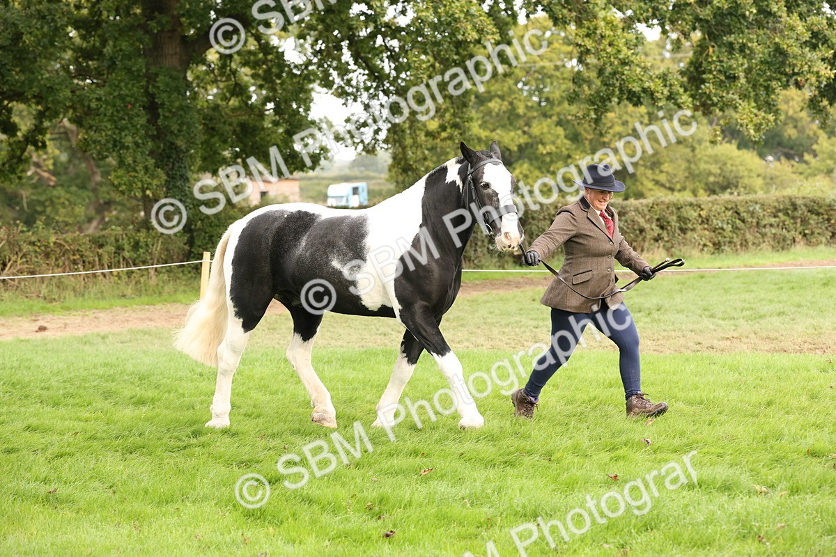 SBM_57486 - S56 - Show Cob in Hand