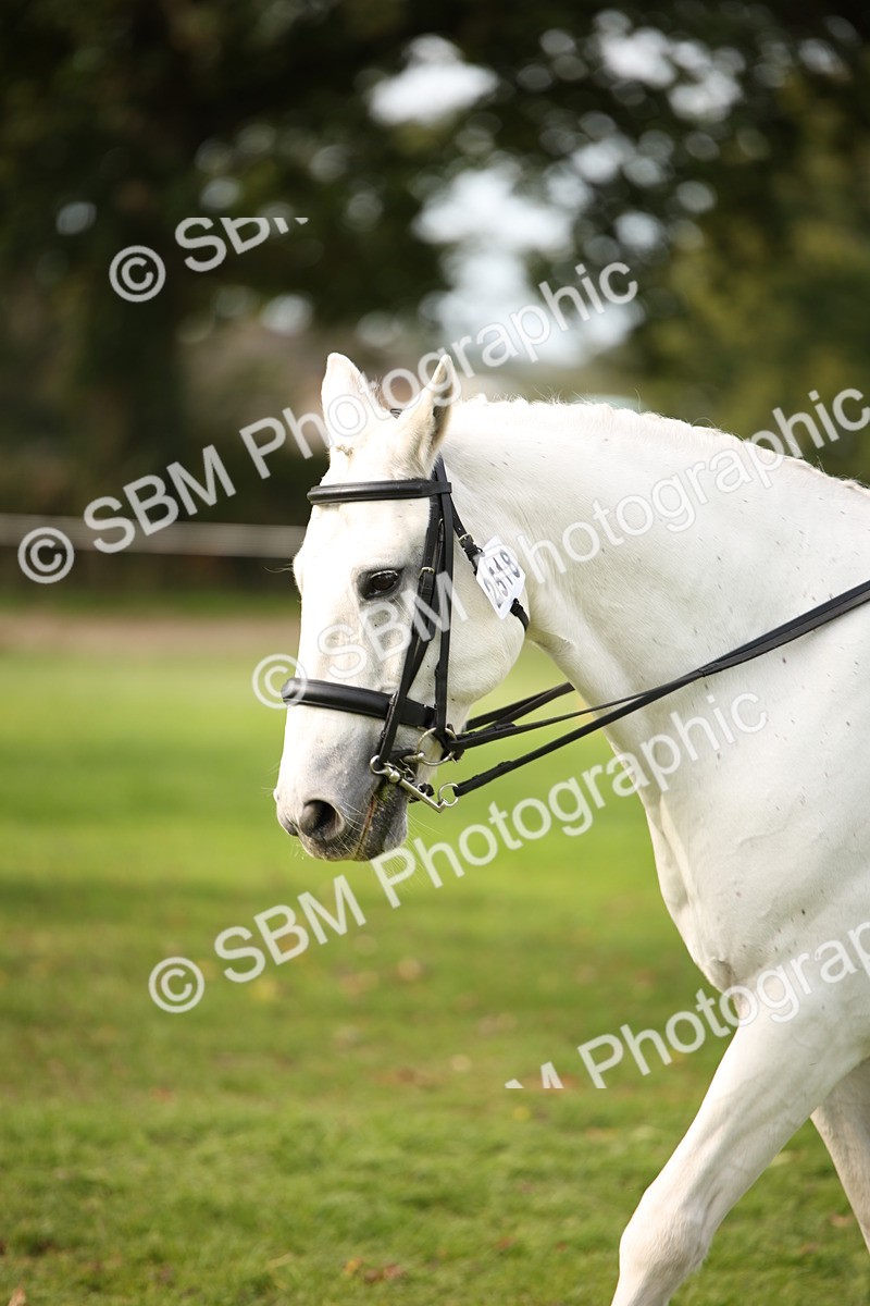 SBM_70420 - S66 - Hunter Ridden