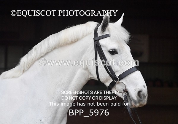 BPP_5976 - Erin Hancock ×2