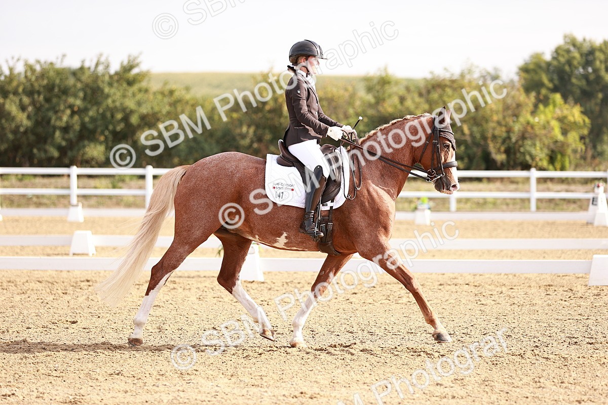 SBM_016869 - Class 10 - Medium 6