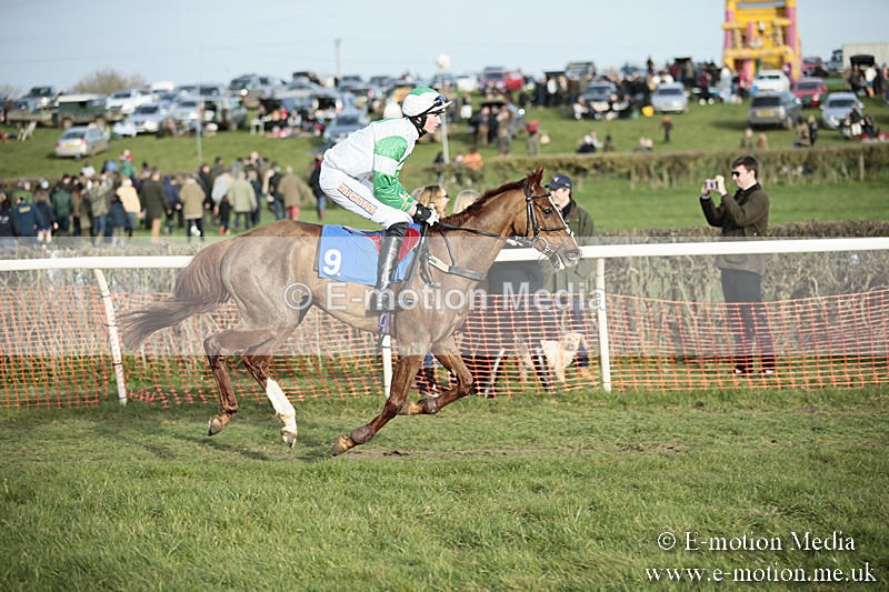 PtP 230319 515 - VWH Hunt Siddington Point-to-Point Racing 23/03/19