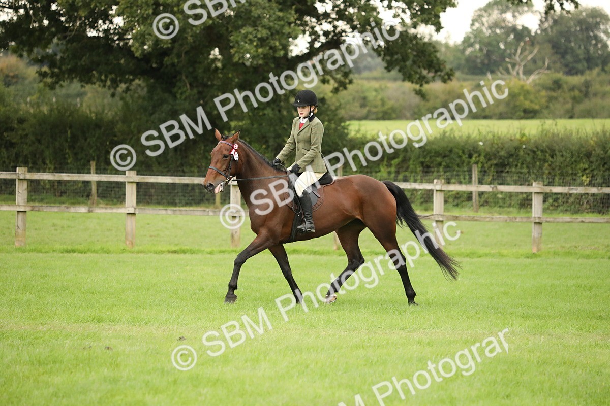 SBM_73719 - S41 - Ridden Equitation (Best Rider)