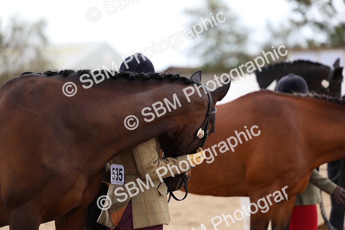 SBM_05108 - Class 27 - IH Competition Horse or Pony